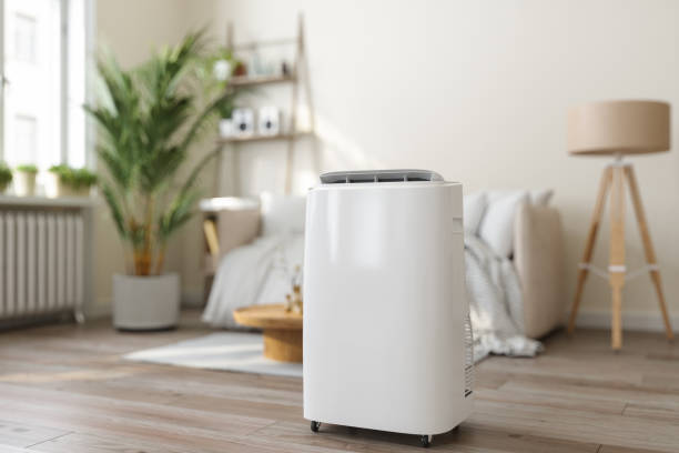 Best Ductless HVAC repair  in Coon Rapids, MN